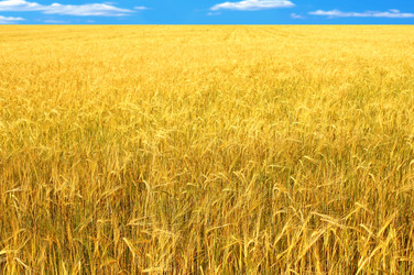 Similar image 107490