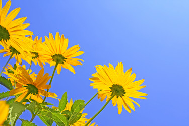 Similar image 107491