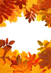 Similar image 107493