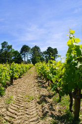 Similar image 107496