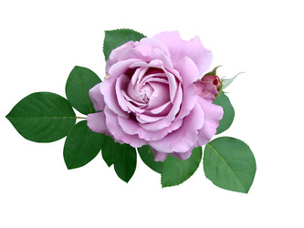 Similar image 107546