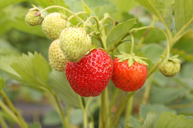 Similar image 107563