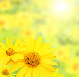 Similar image 107576