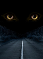 Similar image 107582