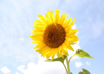 Similar image 107602