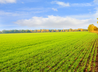 Similar image 107612