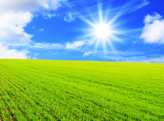 Similar image 107619