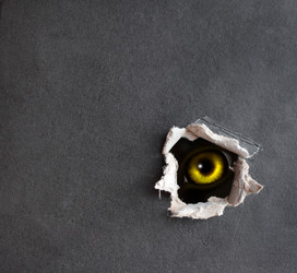 Similar image 107620