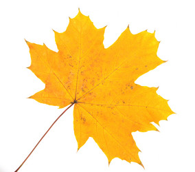 Similar image 107624