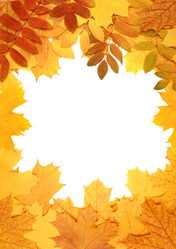 Similar image 107626