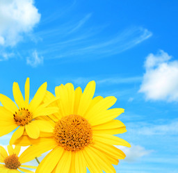 Similar image 107644