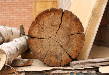 Similar image 107645