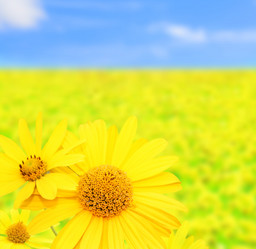 Similar image 107647