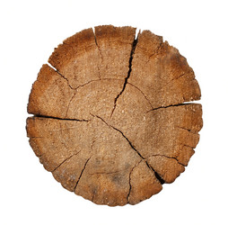 Similar image 107650