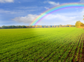 Similar image 107655