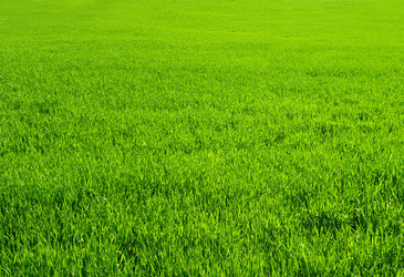 Similar image 107660