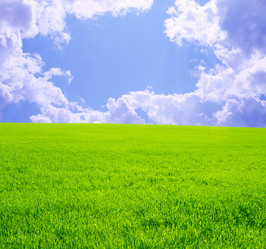 Similar image 107668