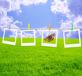 Similar image 107670