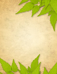 Similar image 107673