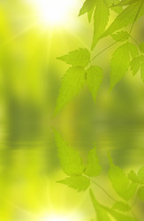 Similar image 107674