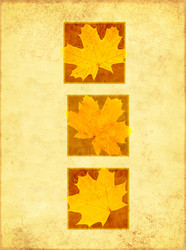 Similar image 107678