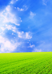 Similar image 107681