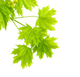 Similar image 107682