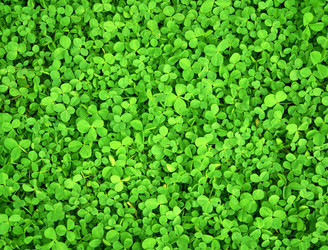 Similar image 107685