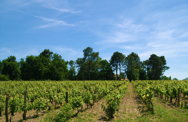 Similar image 107686