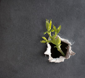 Similar image 107689