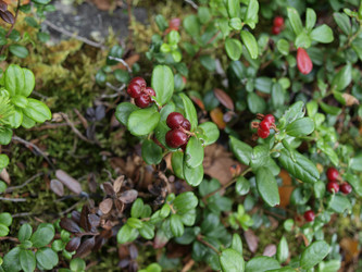 Similar image 107731