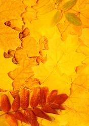 Similar image 107734