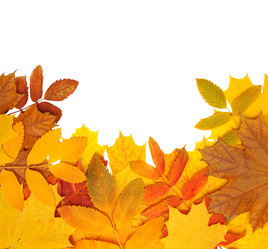 Similar image 107735