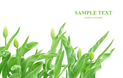 Similar image 107746