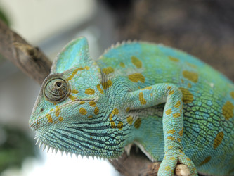 Similar image 107755