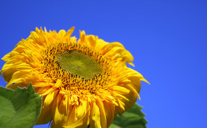 Similar image 107756