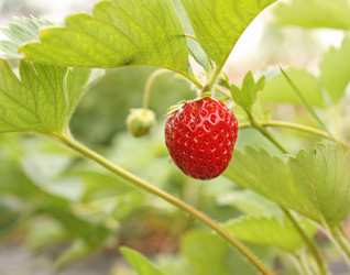 Similar image 107762