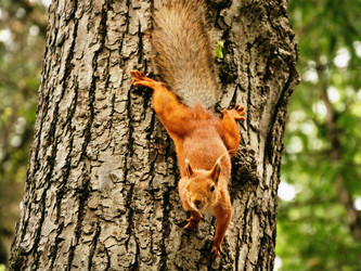 Similar image 107791