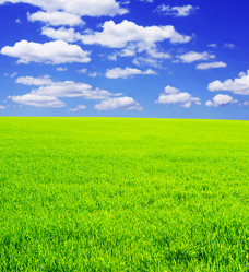 Similar image 107792