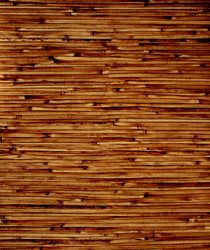 Similar image 107795