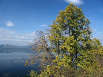 Similar image 107816