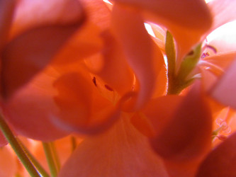 Similar image 107824