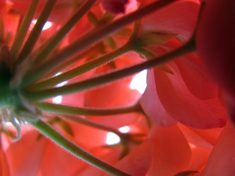 Similar image 107834