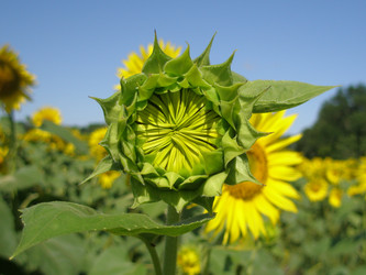 Similar image 107851