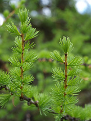 Similar image 107879