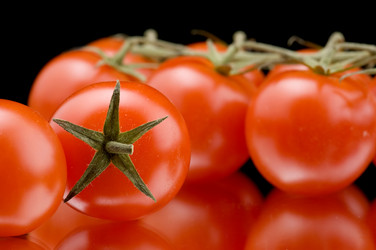 Similar image 107883