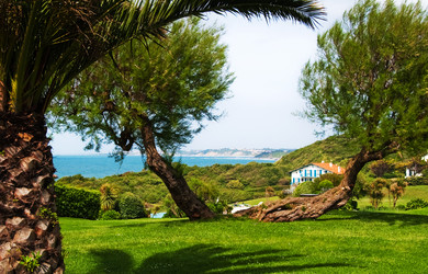 Similar image 107889