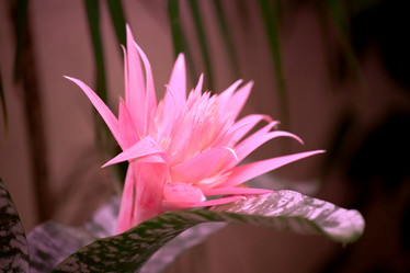 Similar image 107900