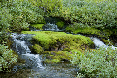 Similar image 107903