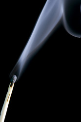 Similar image 107953